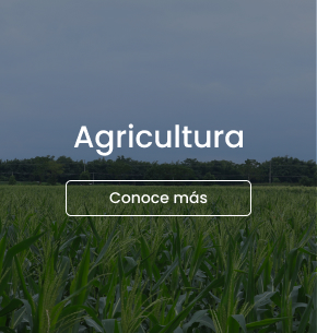 carrusel-agricultura-1