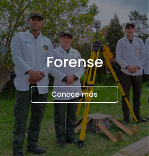 carrusel-forense
